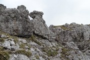 Da Ceresola di Valtorta salita ai Piani di Bobbio e allo ZUCCO BARBESINO (2152 m.) venerdì 2 giugno 2017 - FOTOGALLERY